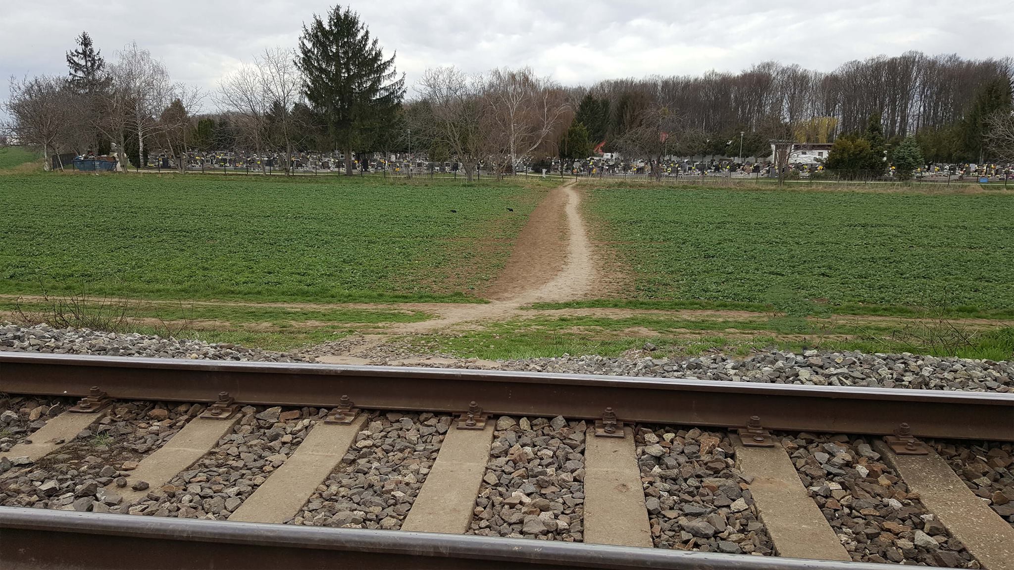 218 30571626 1762720623789926 5853453813519745024 o | WebJET CMS