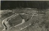 Rybovody