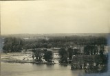 Donauauen bei Fischamend (Dunaj pri Fischamende)